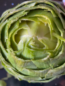 Artichokes are super healthy so they can be a great addition or star of any dinner! This recipe fills the hearty artichokes with a delicious blend of flavors and spices. They're stuffed with breadcrumbs, onions, garlic, parmesan cheese and more!